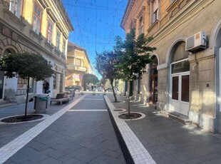 Spatiu comercial de inchiriat pe strada Metianu