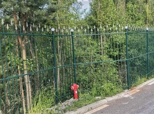 Vand casa in Poiana Angelescu