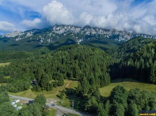 3 Hectare, teren cu privelisti memorabile, la poalele Masivului Postavarul,