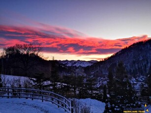 FILM! 20.000 mp in povestea naturii din renumitul areal: Bran, Brasov