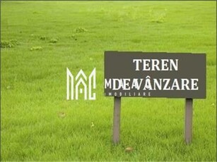 Teren 7.500mp | Extravilan | Bradu