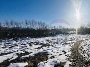 Teren intravilan Tautii de Sus / Strada Viilor