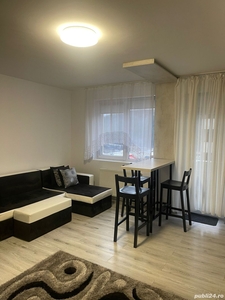 Apartament 2 camere Valea Garboului