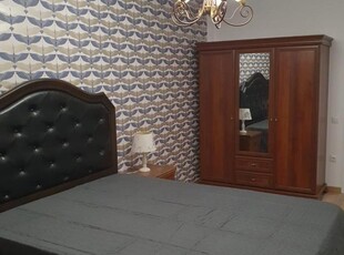 Apartament 2 camere etaj 1 Doamna Stanca