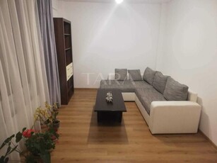 Apartament cu 2 camere si terasa in Europa