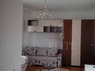 Apartament o camera in zona Brancusi