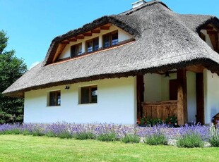 Casa traditionala de vis, aproape de Cluj-Napoca Liniste, confort si energie verde!