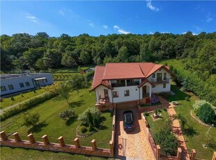 Refined ensemble, elite natural setting, 5 km from Corvin Castle.