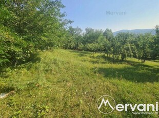 Teren de vanzare in Breaza Zona Capul Campului