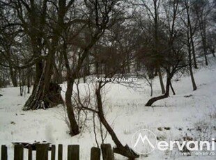 Teren de vanzare in Breaza (zona Clubul de Golf)