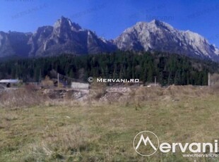 Teren de vanzare in Busteni (zona Zamora)