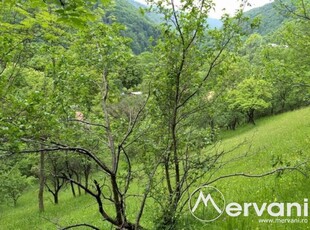 Teren de vanzare in Comarnic Zona Posada