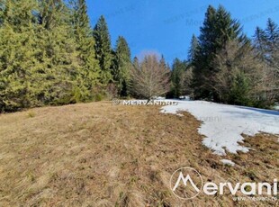 Teren de vanzare in Predeal (zona Malul Ursului)