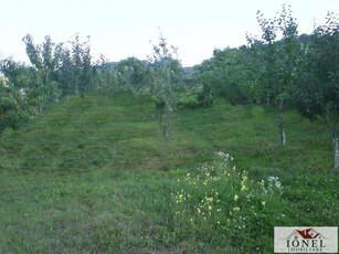 Teren intravilan de vanzare in Alba Iulia