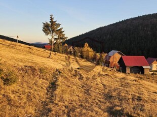 Teren intravilan in suprafata de 500 mp., situat in Arieseni, zona Vartop.