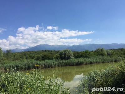 Vand domeniu intravilan cu 2 lacuri de pescuit, Racovita, Sibiu