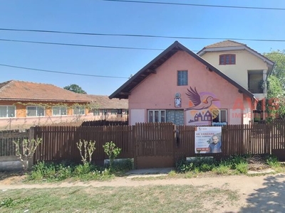 Casa/Vila+Spatiu Comercial de vanzare in comuna Malu Mare