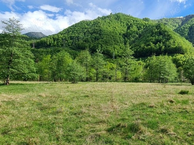 Loturi teren intravilan la munte Valea Lotrului-Transalpina