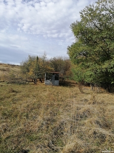 Vând teren agricol în Câmpeneşti