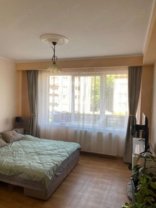 Apartament 1 camera, 39 mp, PET FRIENDLY , Zona Borhanciului