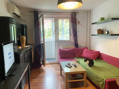 Apartament 2 camere vanzare in bloc de apartamente Bucuresti, Lacul Tei