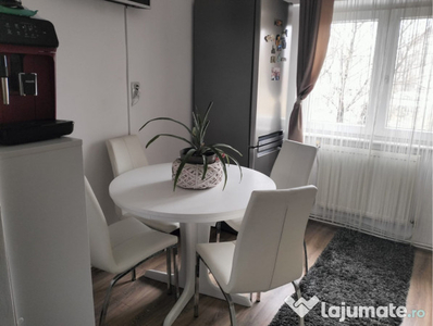 Apartament cu 3 camere strada Careiului