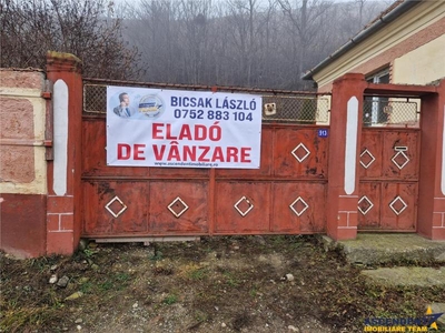 Casa rezidentiala / de vacanta, 800mp teren, in armonia padurii, Araci, Covasna