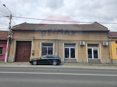 Casavila 5 camere vanzare in Timis, Lugoj