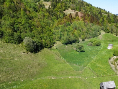 Teren Pădure, Extravilan vanzare, in Suceava, Frasin, Sud