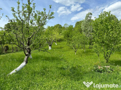 Teren de vânzare in Ocina de Jos