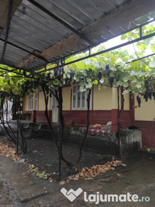 Casa bătrânească Brahasesti, Galati