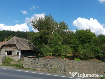 Casa cu teren in localitatea Batuta, 1730 mp teren