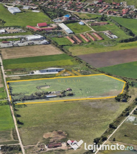 OPORTUNITATE ! Ferma+cladiri 4.6+ Ha zona BAT