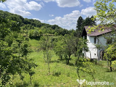 Teren constructie casa Stefanesti | 1652 mp | Langa Padure