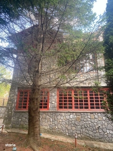 Vila 7 camere Sinaia