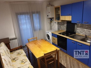 Inchiriere Apartament Nicolina 1 Camere