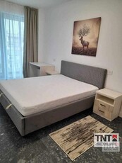 Inchiriere Apartament Podu Ros 2 Camere