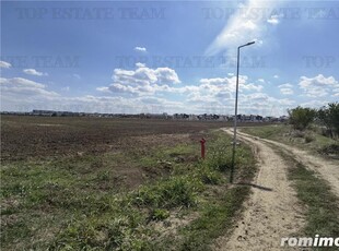 Teren 5,000mp Otopeni Strada Putna