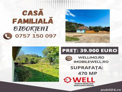 Casă familială în Biborțeni