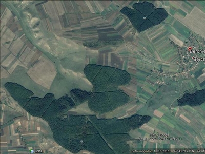 Cluj - Berchiesu - fond forestier padure -145 ha
