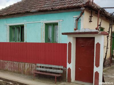 Proprietate Excepțională cu Două Case și Teren Agricol în Ianosda, Comuna Madaras