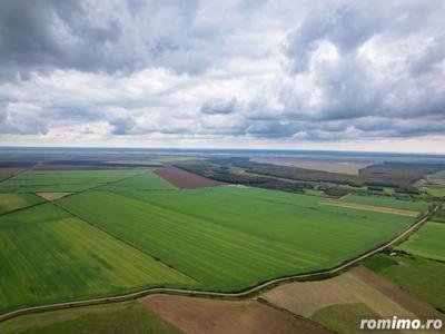 Teren 1584 Hectare pe lunca Mureșului