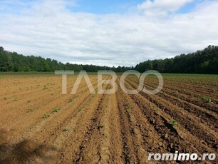 Teren extravilan agricol 12000 mp utilitati acces auto Pianu de Jos