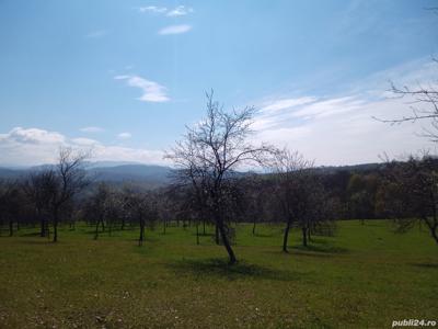 teren in Timiș zona de munte Valea lui Liman