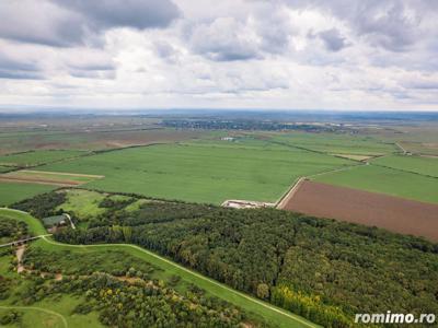 Teren Pășune Impădurită 289 hectare