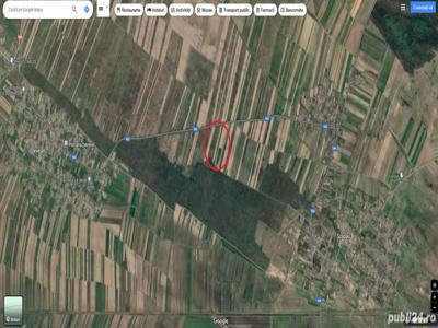 Vand terenuri agricole in Devesel , total 2 Ha in 5 parcele , cadastru, acte la zi 7500 hectar