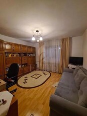 Apartament 2 camere in zona MEHEDINTI