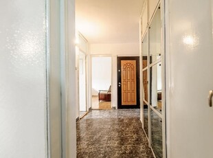 Confort si natura in centrul Aradului -apartament spatios langa Mures!