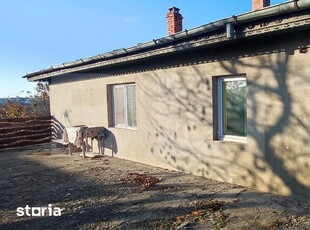 Vand casa batraneasca tip duplex in Valea Lupului