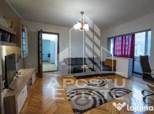 Apartament 2 camere, centrala proprie, pet friendly, Damb...